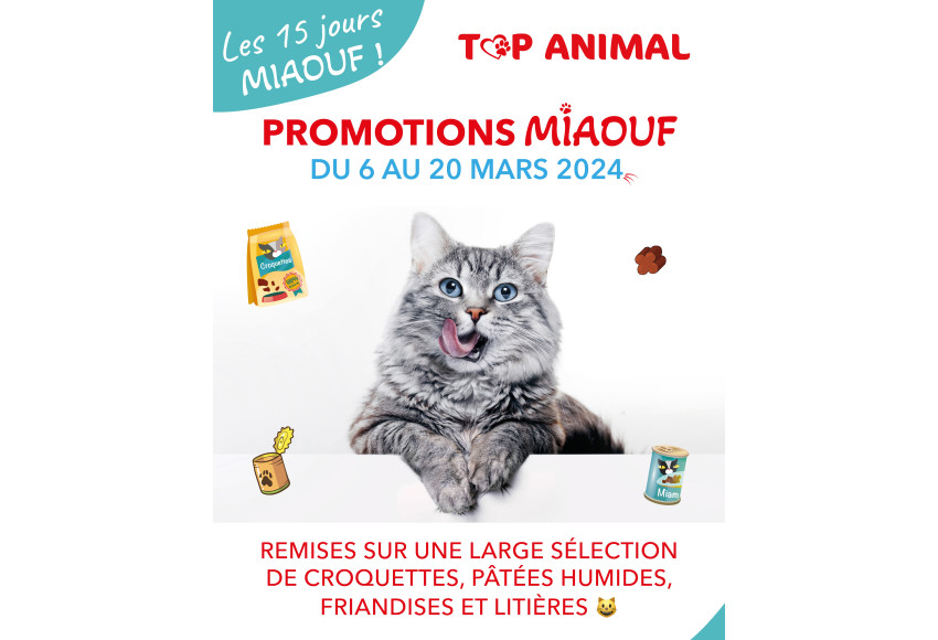 LES 15 JOURS MIAOUF !